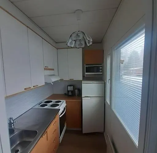 Saunallinen Asunto *